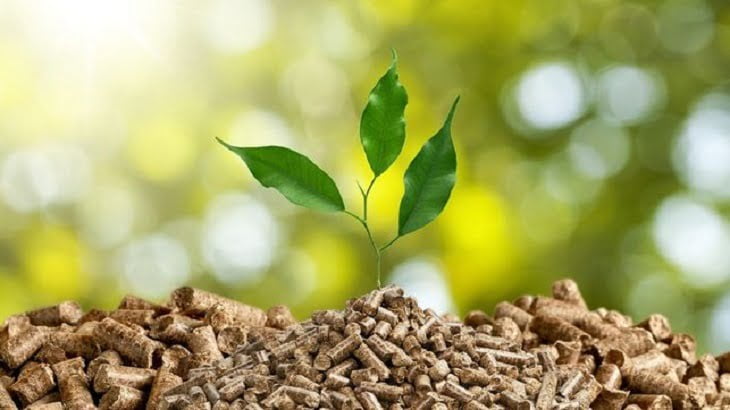 Energía Renovable: Biomasa